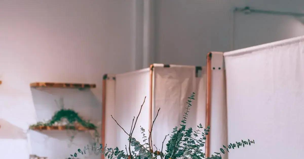 Organic Danish Ambient Lamp with Touch Dimmer: smart elegance at your command